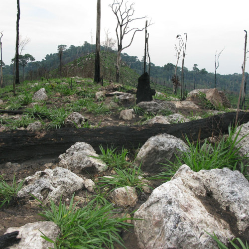 Vuggy-Quartz outcrops, 2011.