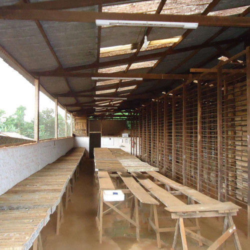 Core logging area at the camp 2013